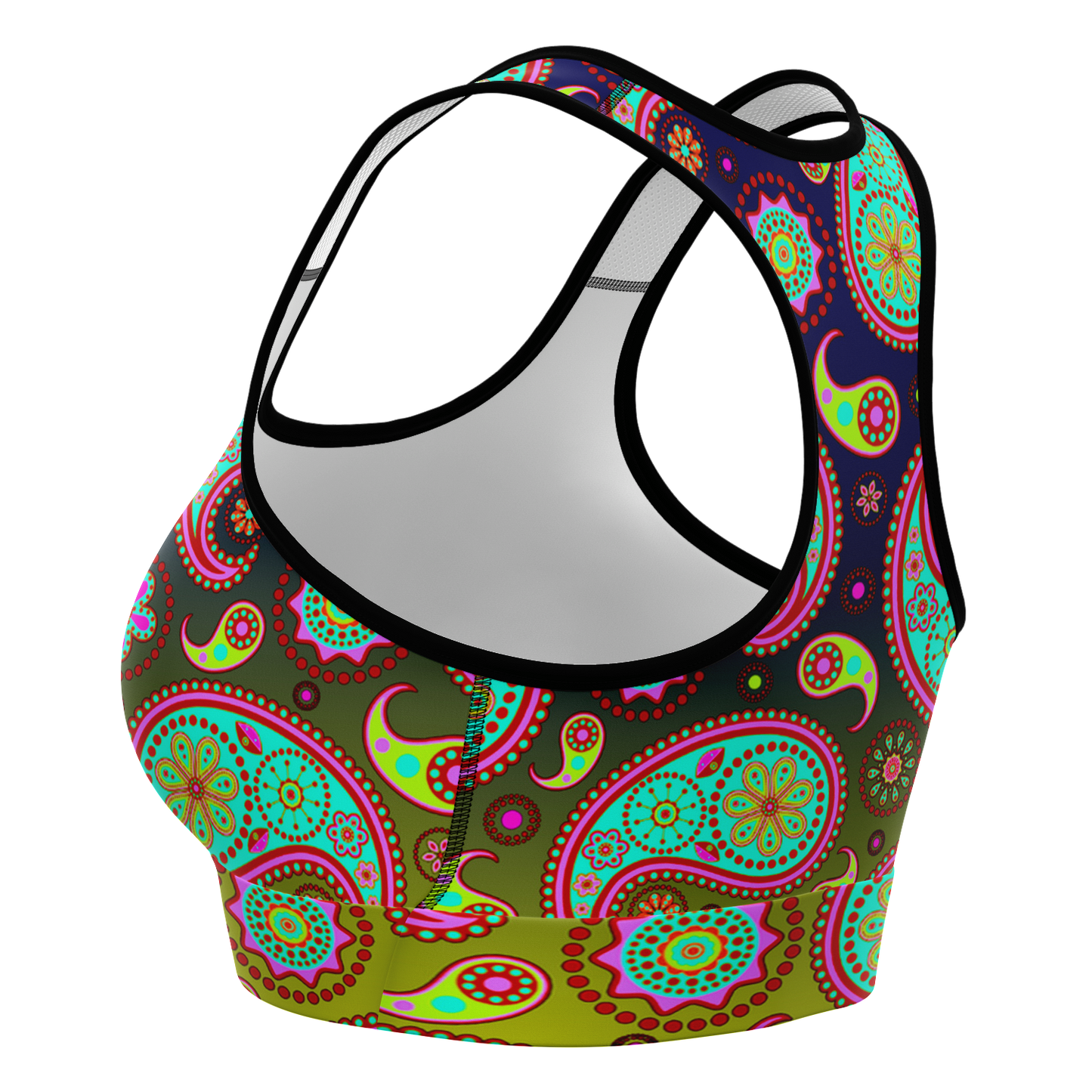 Paisley Mixture V1.1 Sports Bra