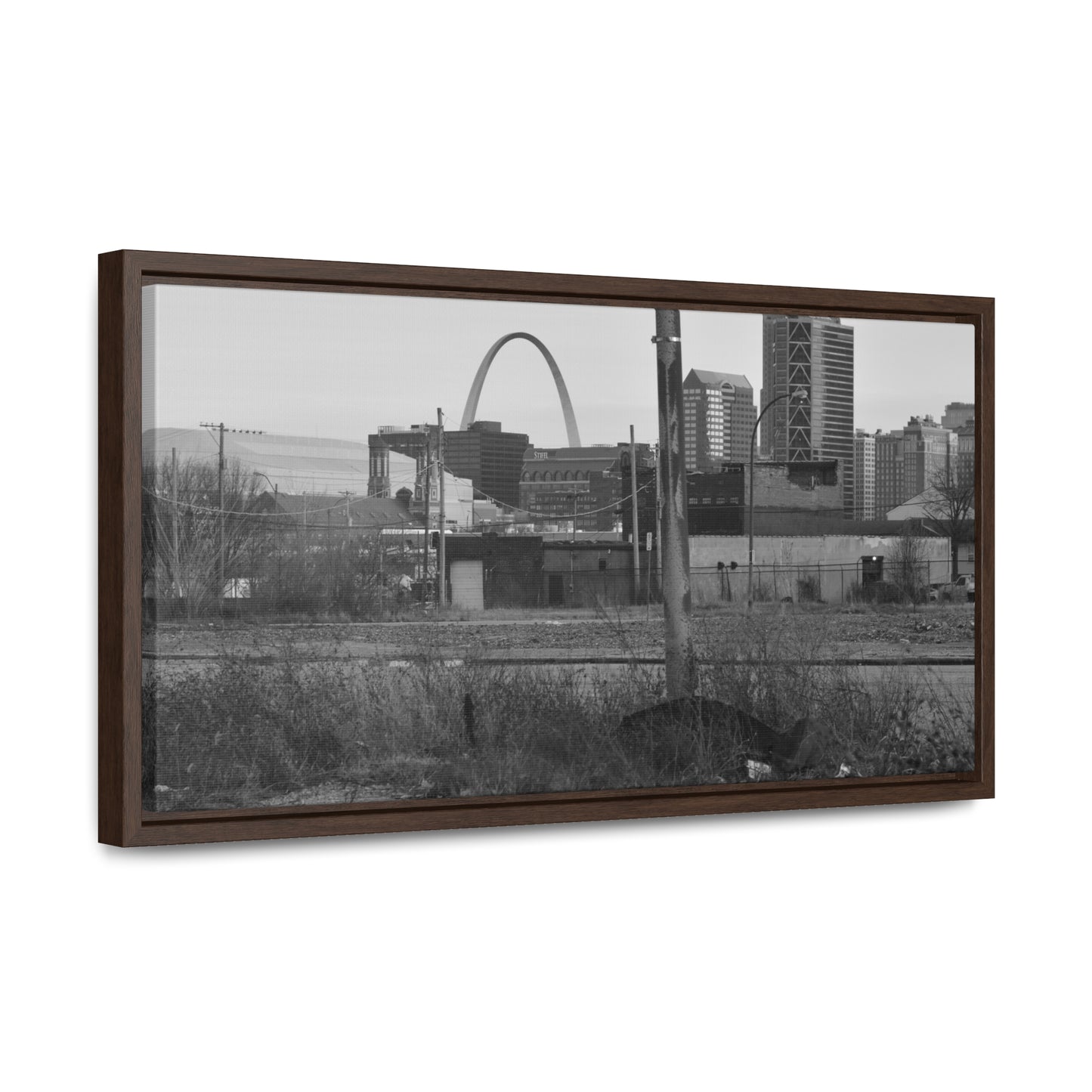 The Other Side B&W Framed Canvas Wraps