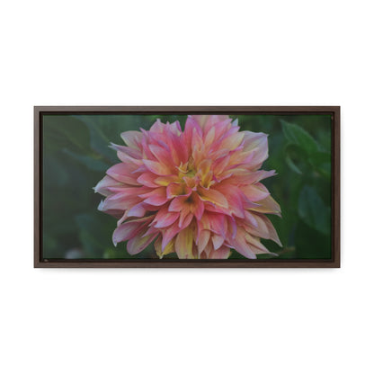 Evanah Dahlia Framed Canvas Wraps