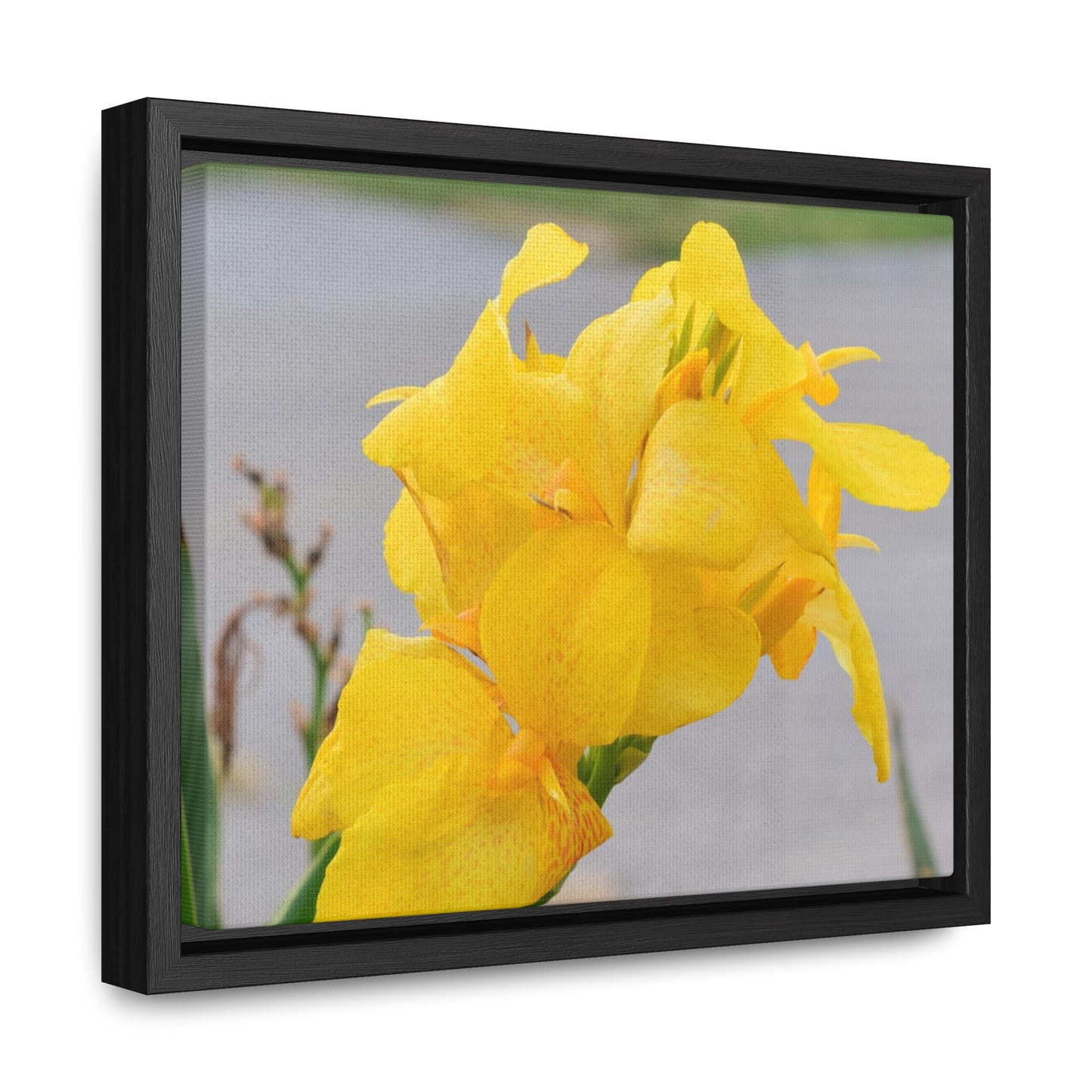 Cannova Lily Framed Canvas Wraps