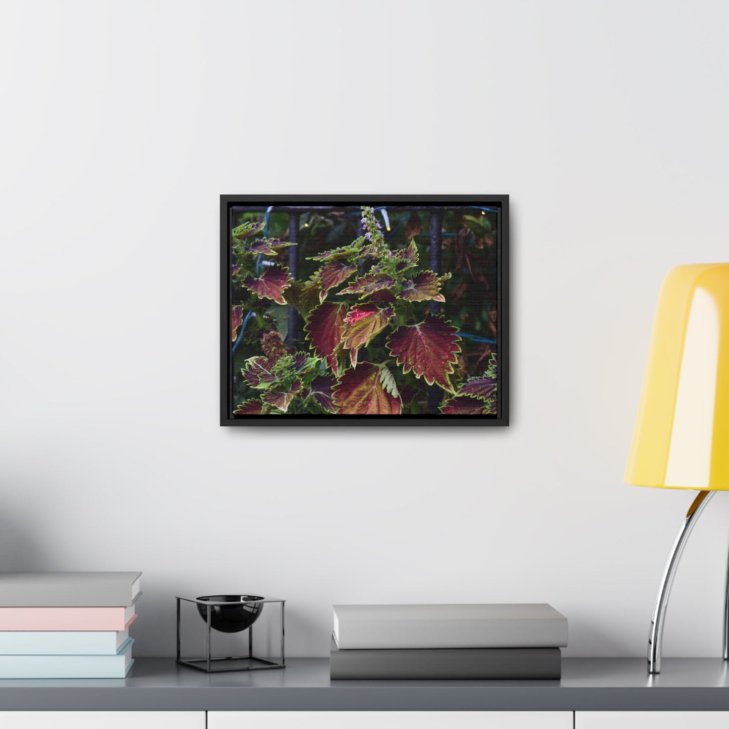 Coleus Framed Canvas Wraps