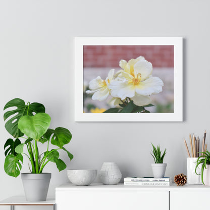 Lemonade Flower Framed Horizontal Poster