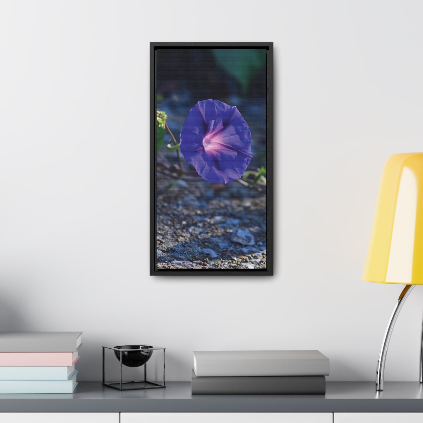 Morning Glory (Genus Ipomoea) Framed Canvas Wrap