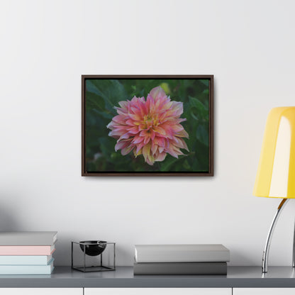 Evanah Dahlia Framed Canvas Wraps