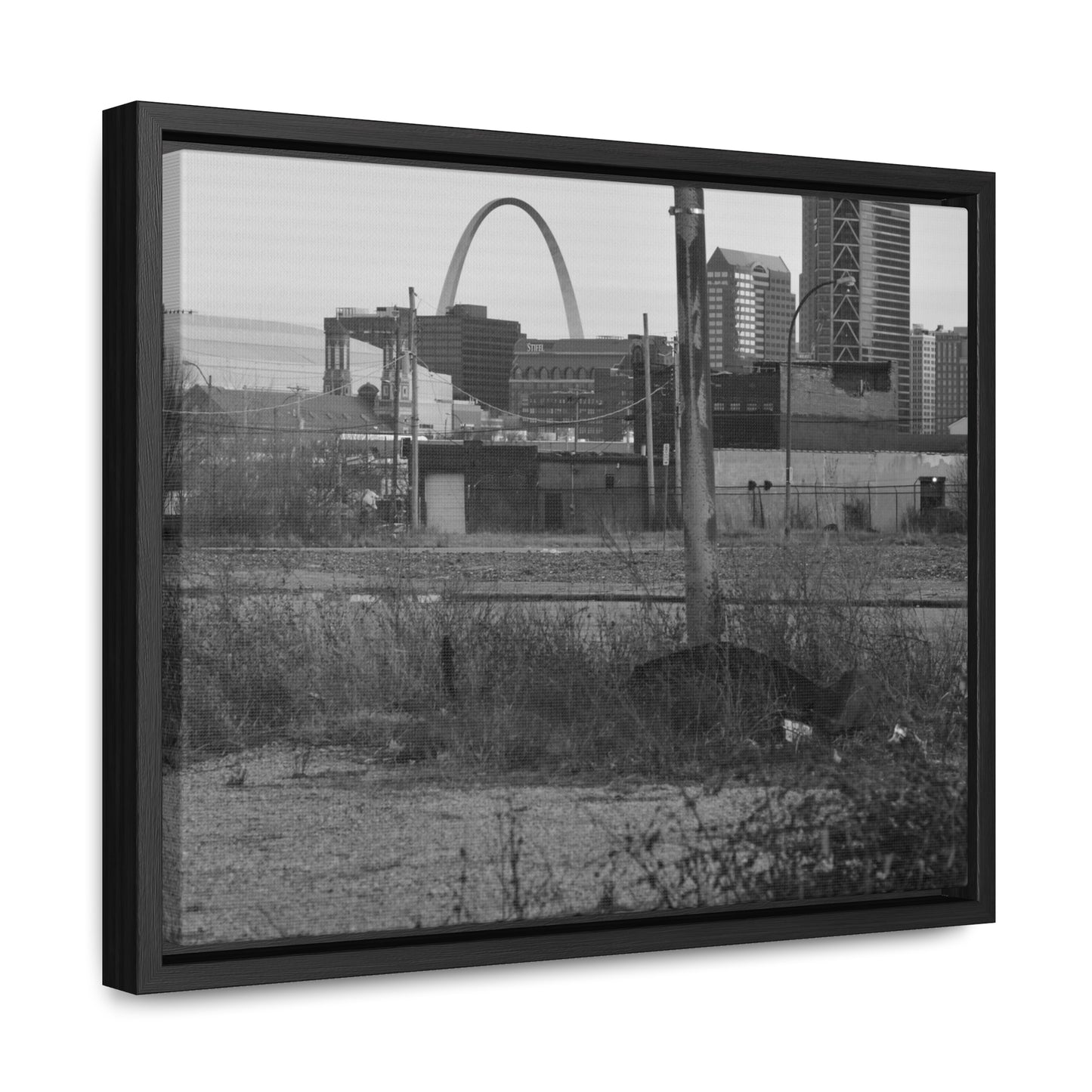 The Other Side B&W Framed Canvas Wraps