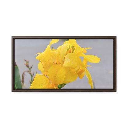 Cannova Lily Framed Canvas Wraps