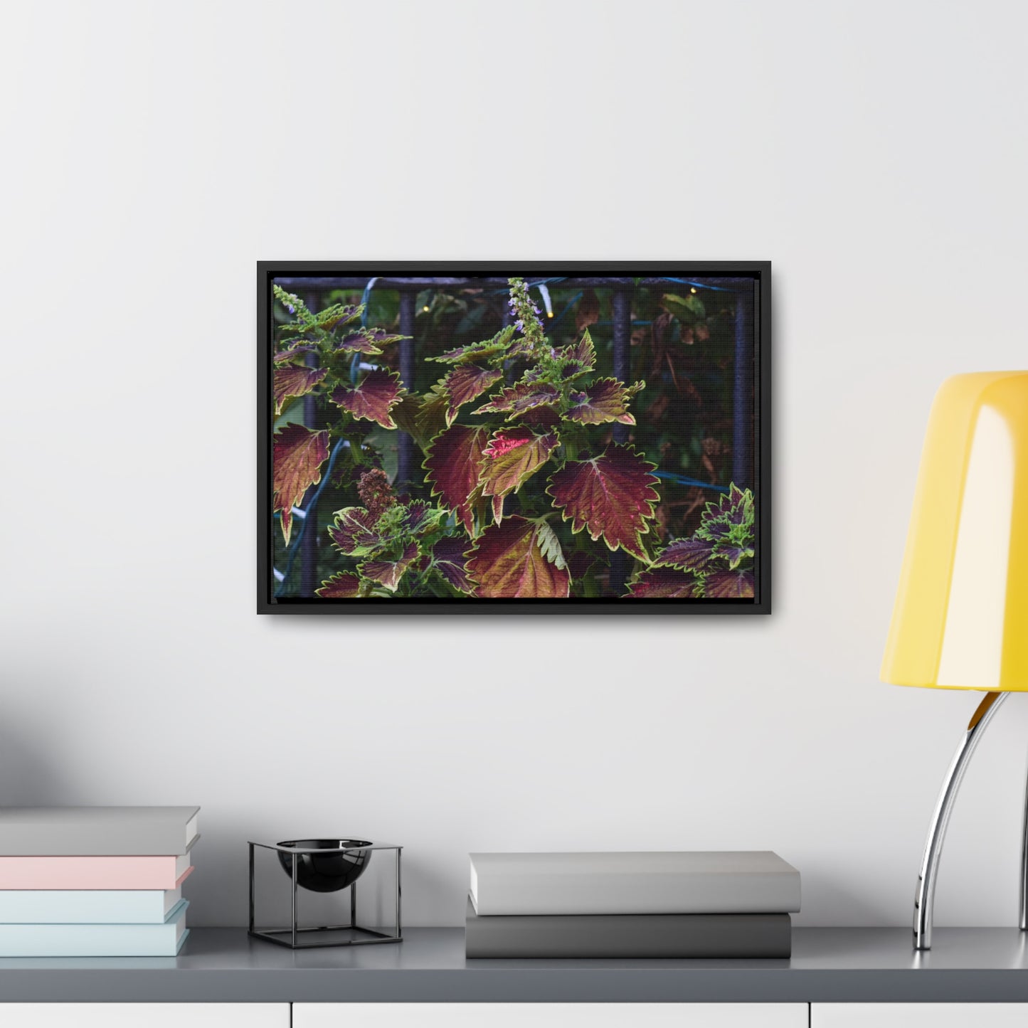 Coleus Framed Canvas Wraps