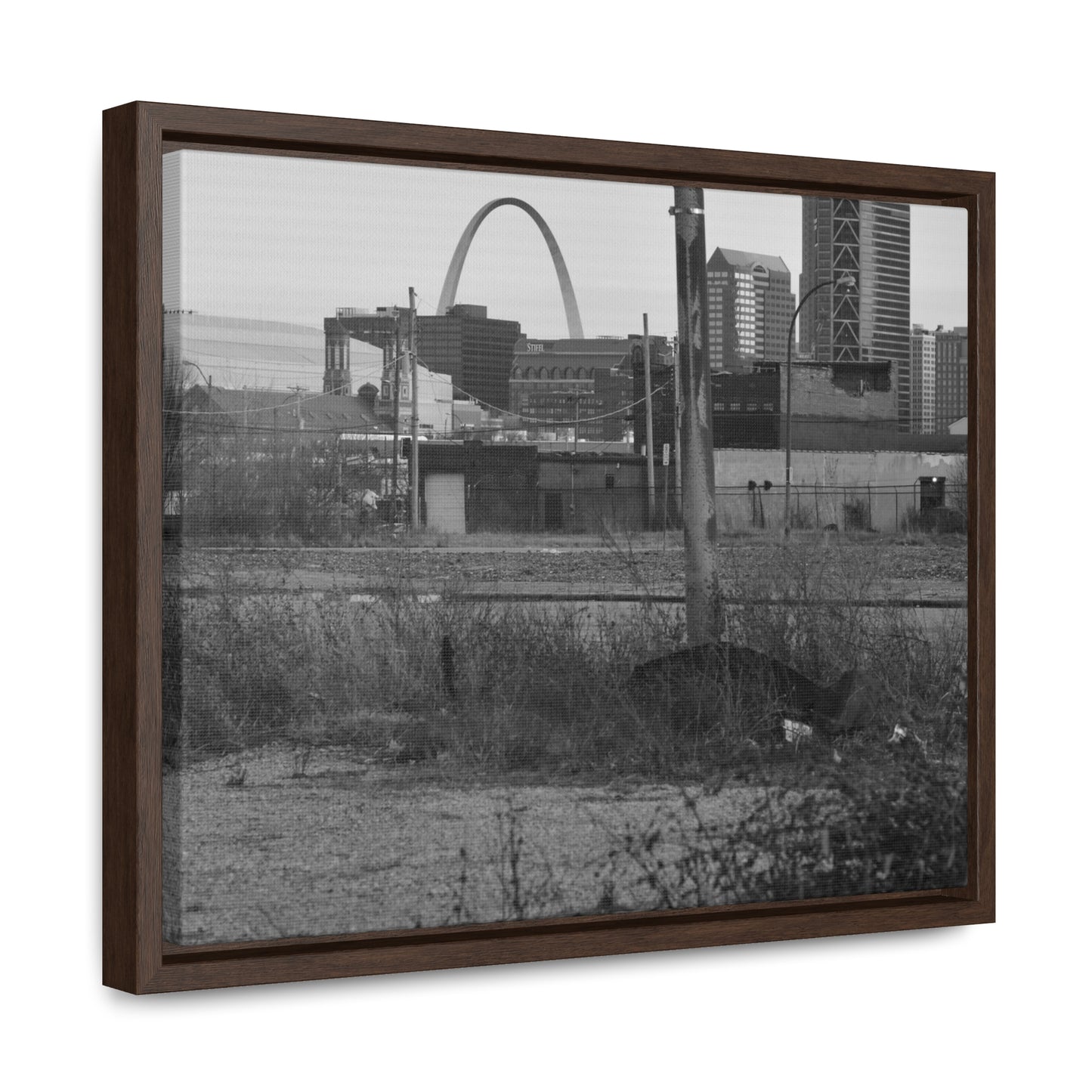 The Other Side B&W Framed Canvas Wraps