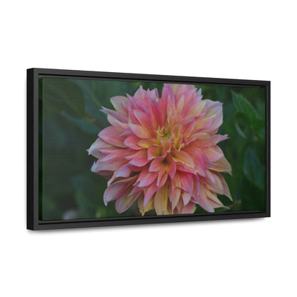 Evanah Dahlia Framed Canvas Wraps