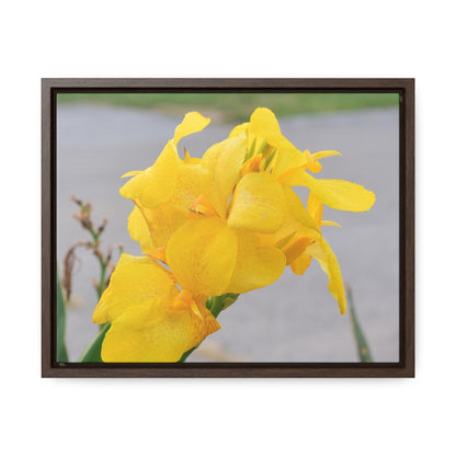 Cannova Lily Framed Canvas Wraps