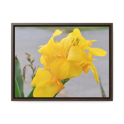 Cannova Lily Framed Canvas Wraps