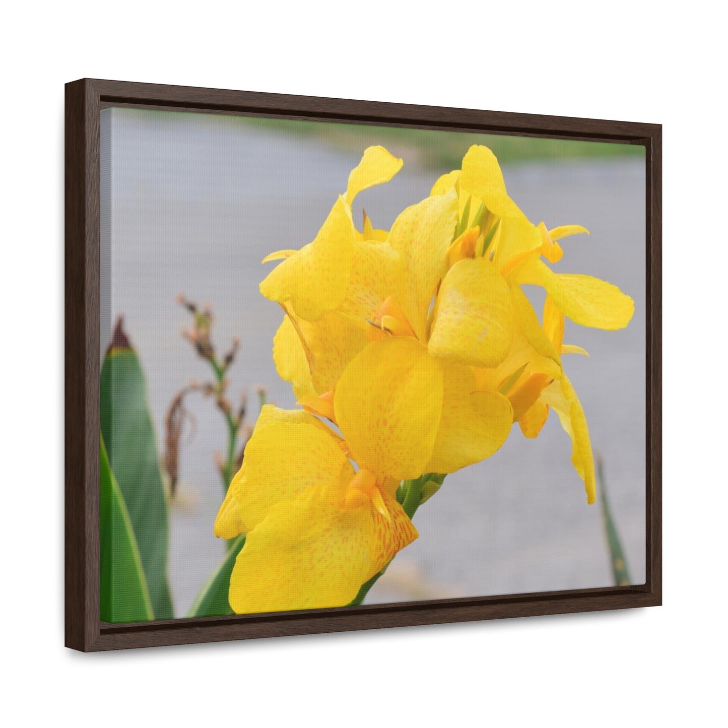 Cannova Lily Framed Canvas Wraps