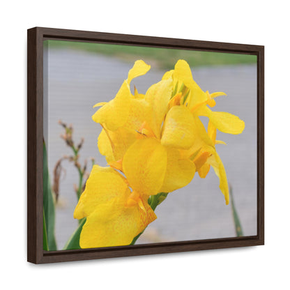 Cannova Lily Framed Canvas Wraps