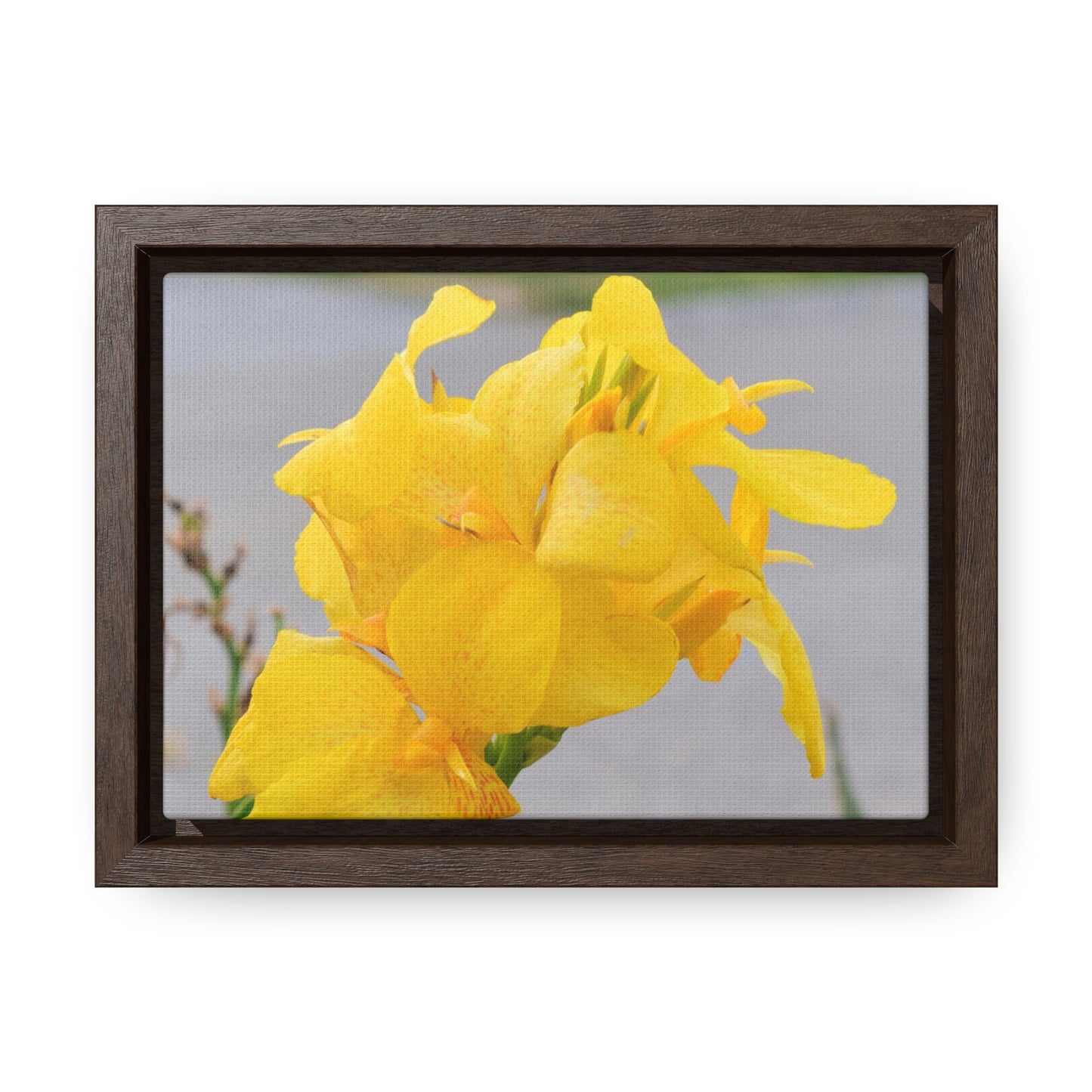 Cannova Lily Framed Canvas Wraps