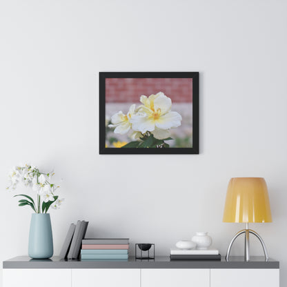 Lemonade Flower Framed Horizontal Poster