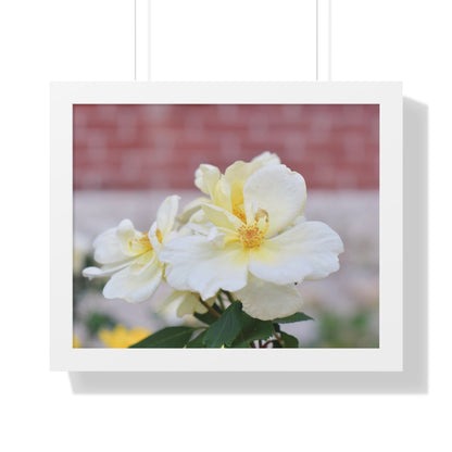 Lemonade Flower Framed Horizontal Poster