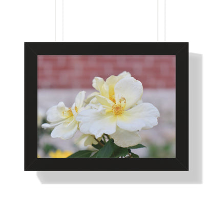 Lemonade Flower Framed Horizontal Poster