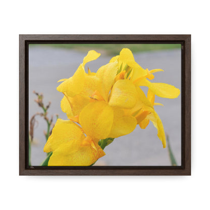 Cannova Lily Framed Canvas Wraps