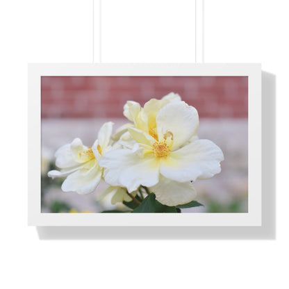 Lemonade Flower Framed Horizontal Poster