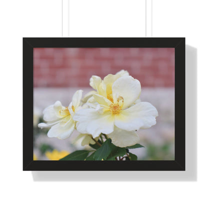 Lemonade Flower Framed Horizontal Poster