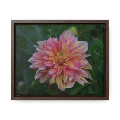 Evanah Dahlia Framed Canvas Wraps