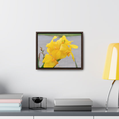 Cannova Lily Framed Canvas Wraps