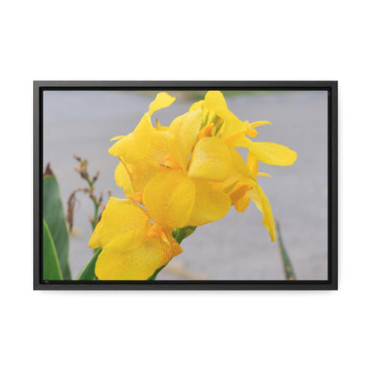 Cannova Lily Framed Canvas Wraps