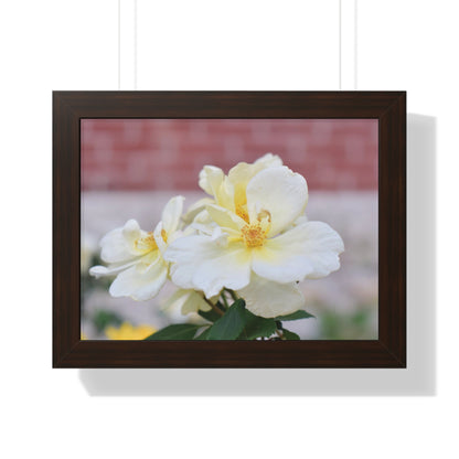 Lemonade Flower Framed Horizontal Poster