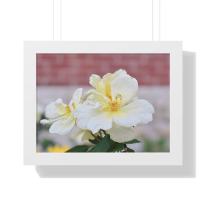 Lemonade Flower Framed Horizontal Poster