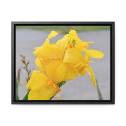 Cannova Lily Framed Canvas Wraps