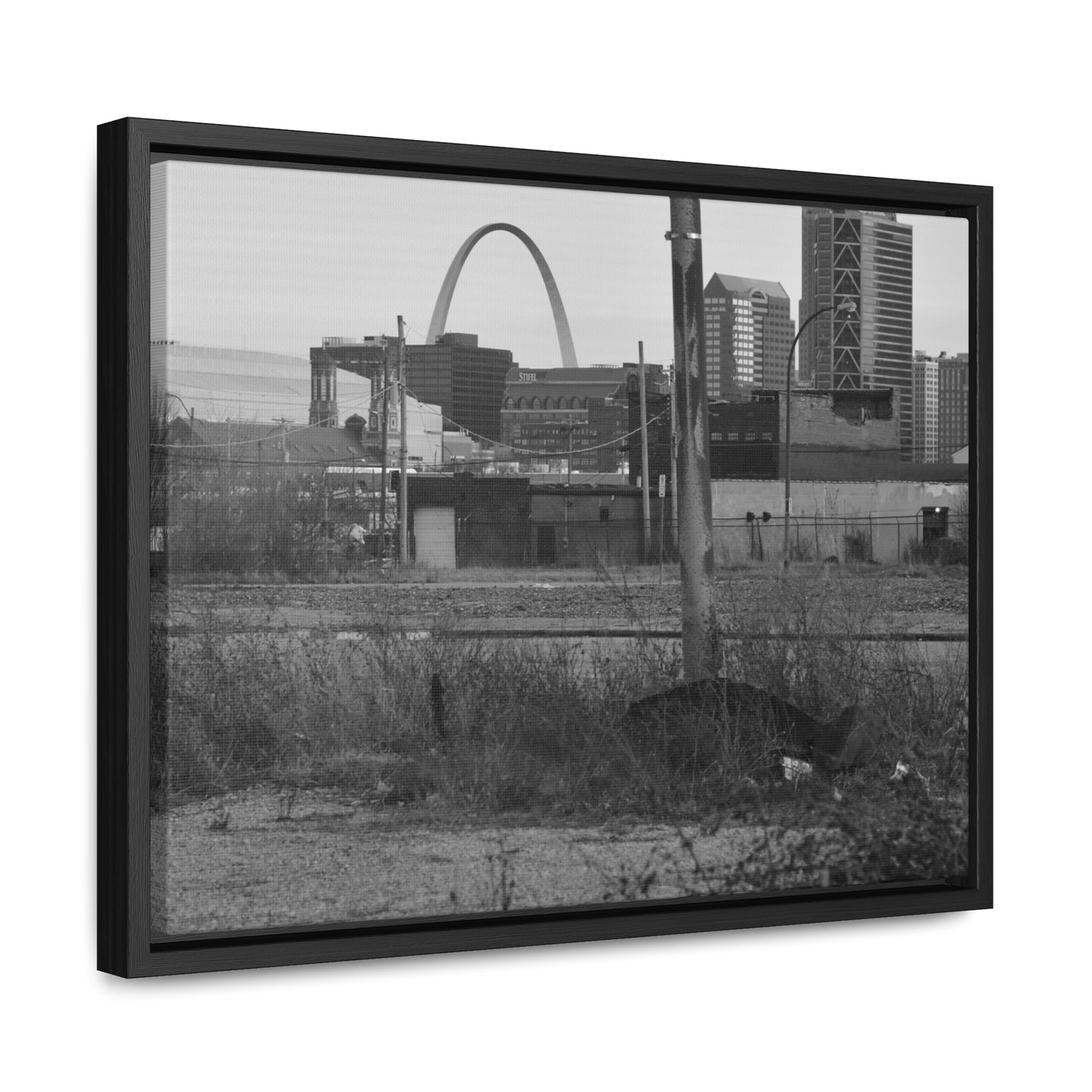 The Other Side B&W Framed Canvas Wraps