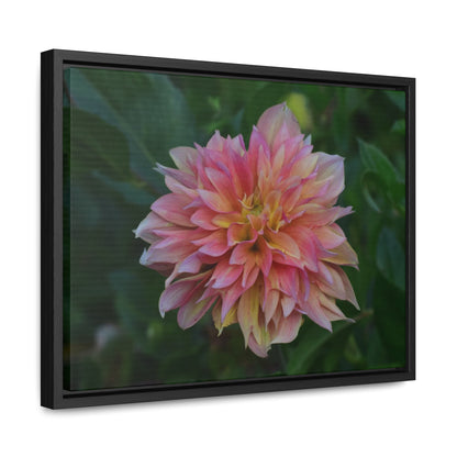 Evanah Dahlia Framed Canvas Wraps