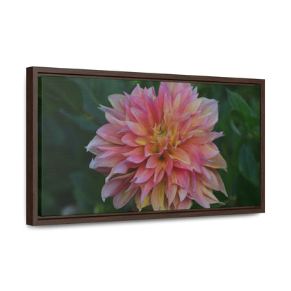 Evanah Dahlia Framed Canvas Wraps