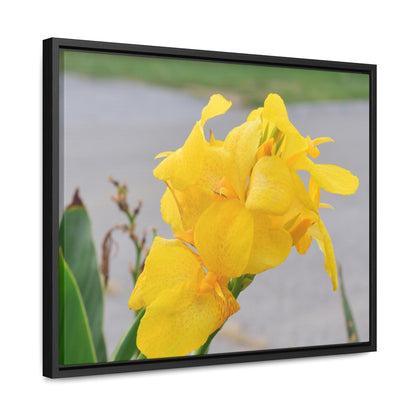 Cannova Lily Framed Canvas Wraps