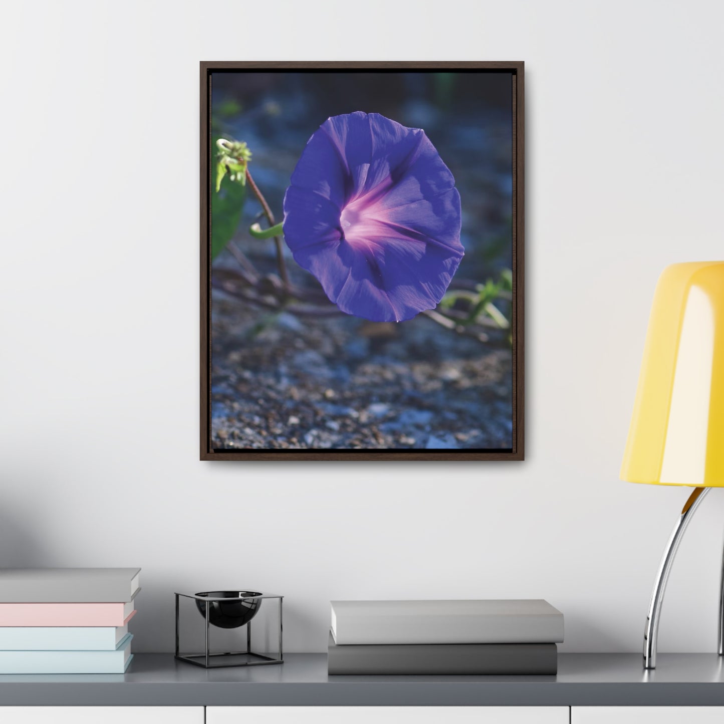 Morning Glory (Genus Ipomoea) Framed Canvas Wrap