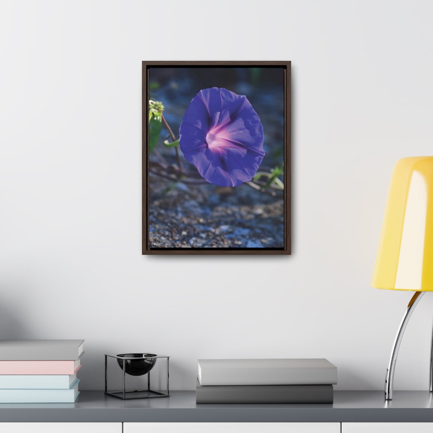 Morning Glory (Genus Ipomoea) Framed Canvas Wrap