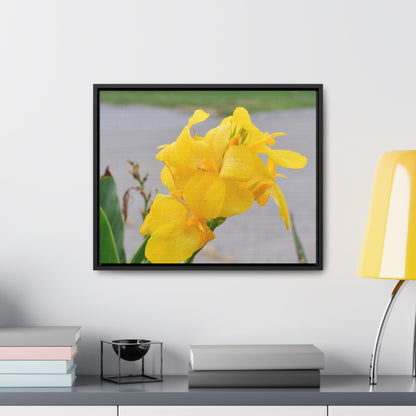 Cannova Lily Framed Canvas Wraps