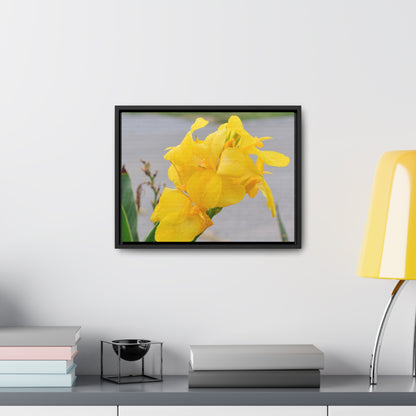 Cannova Lily Framed Canvas Wraps