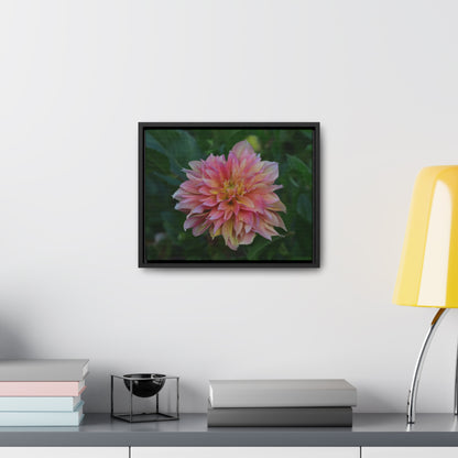 Evanah Dahlia Framed Canvas Wraps