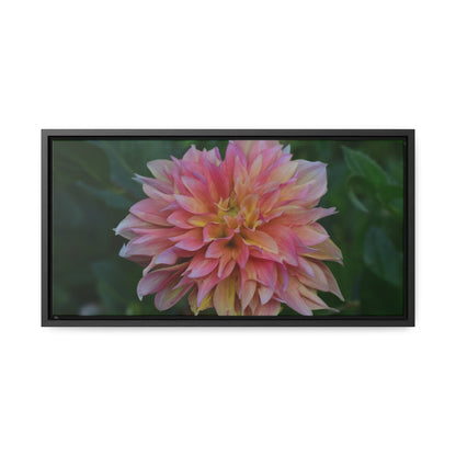 Evanah Dahlia Framed Canvas Wraps