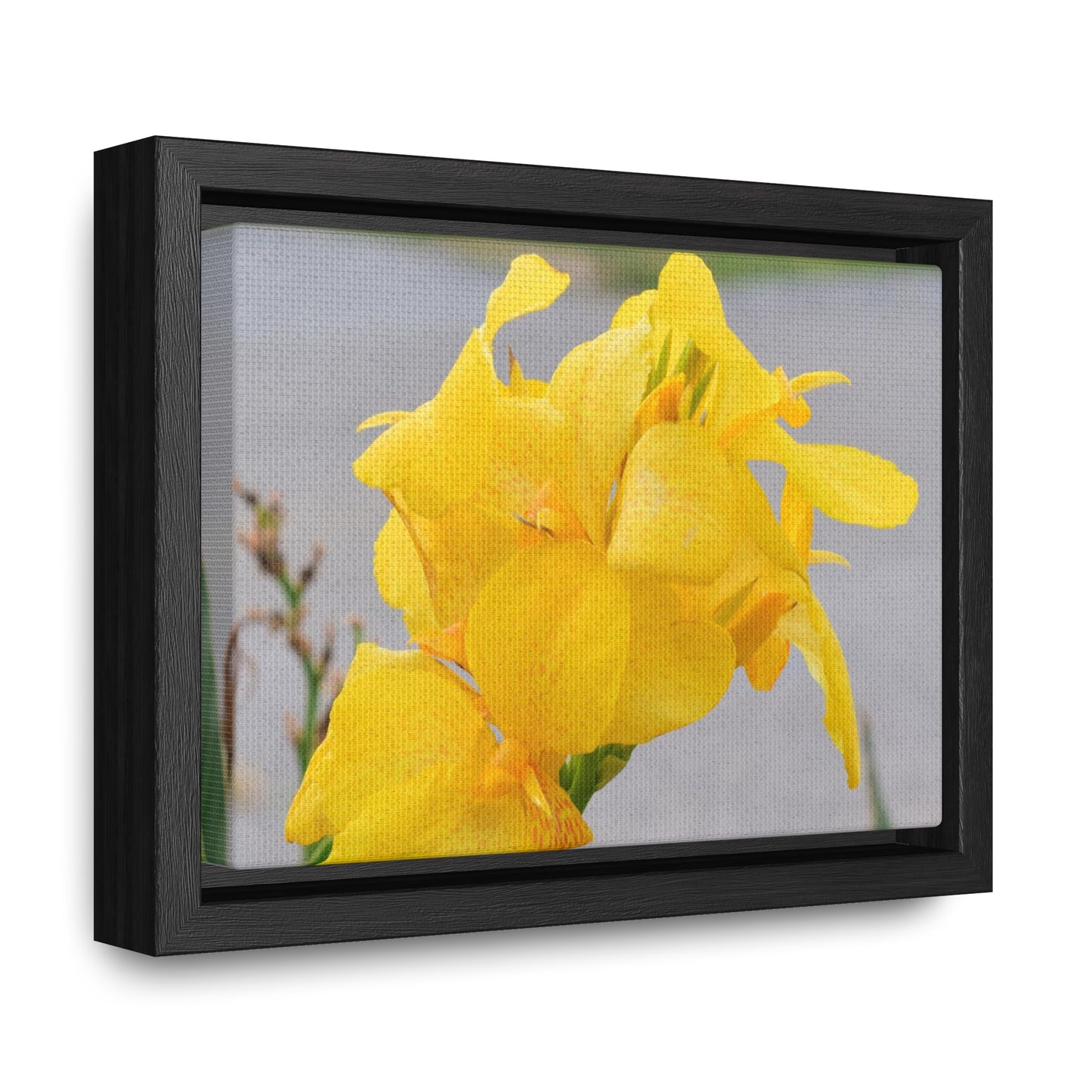 Cannova Lily Framed Canvas Wraps