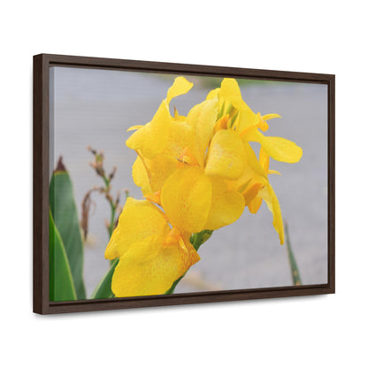 Cannova Lily Framed Canvas Wraps