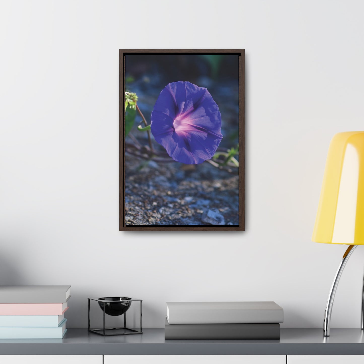 Morning Glory (Genus Ipomoea) Framed Canvas Wrap