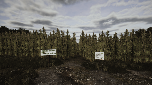 FS25 Newell Creek Remastered Multifruit BETA - TEST