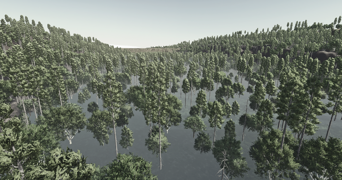 FS25 Old Lake Providence Forest BETA