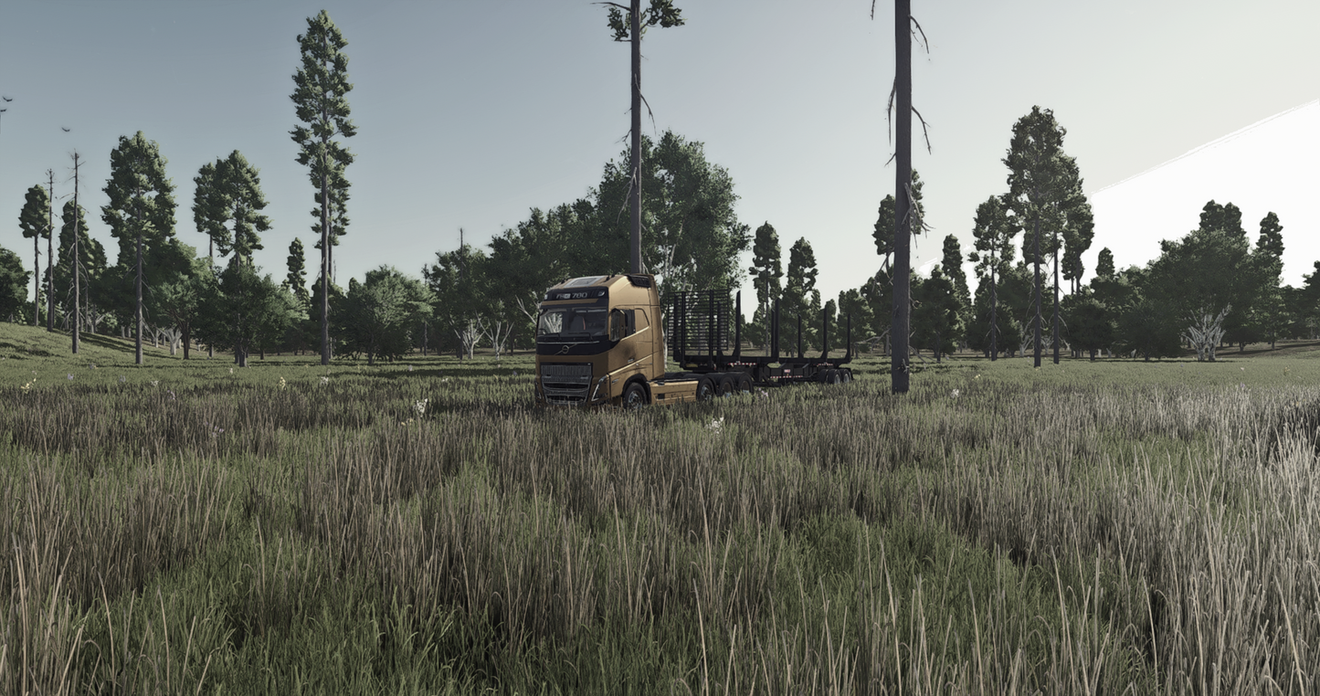 FS25 Old Lake Providence Forest BETA