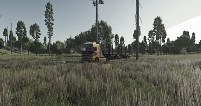 FS25 Old Lake Providence Forest BETA